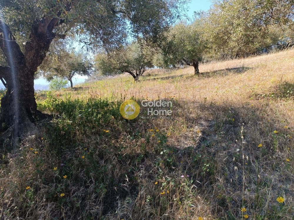 Οικόπεδο στην Βασιλείες, Αρχάνες — Φωτογραφία 6 από 8