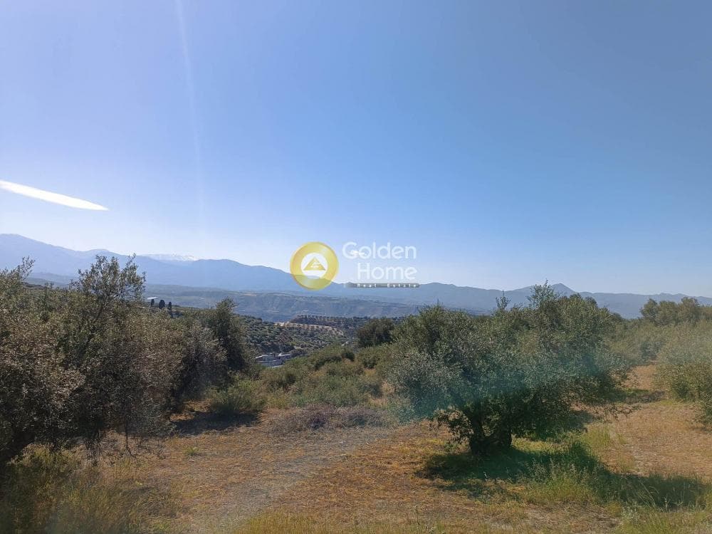 Οικόπεδο στην Βασιλείες, Αρχάνες — Φωτογραφία 1 από 8