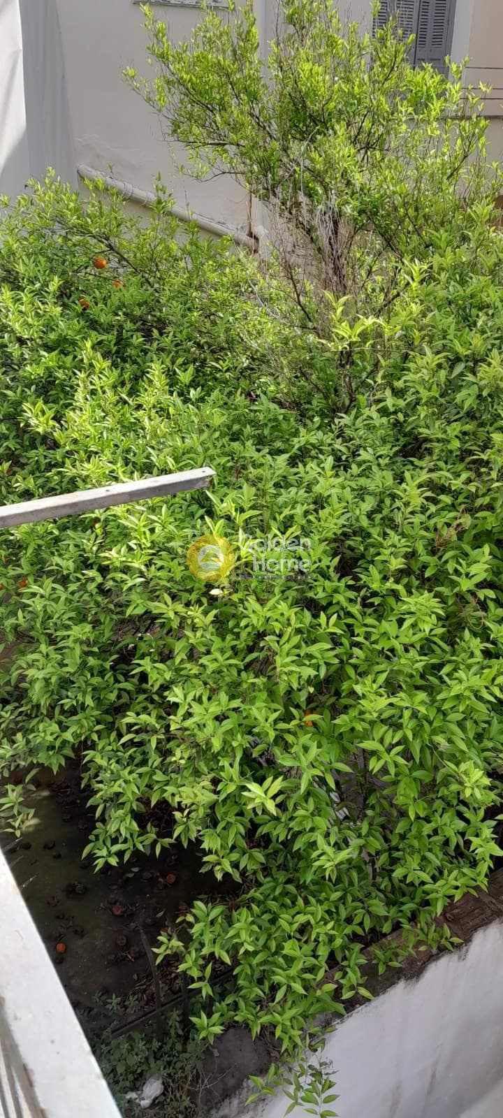 Apartment in Platia Attikis, Attiki — Photo 19 of 21