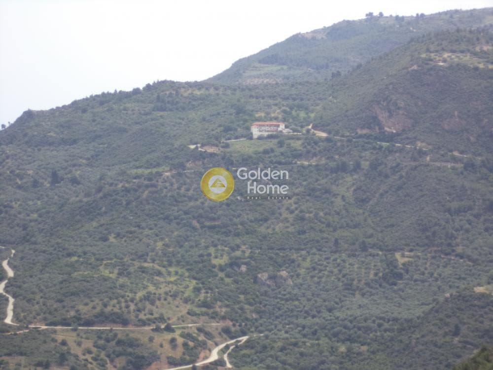 Μονοκατοικία στην Καλαμιάς, Ακράτα — Φωτογραφία 2 από 27
