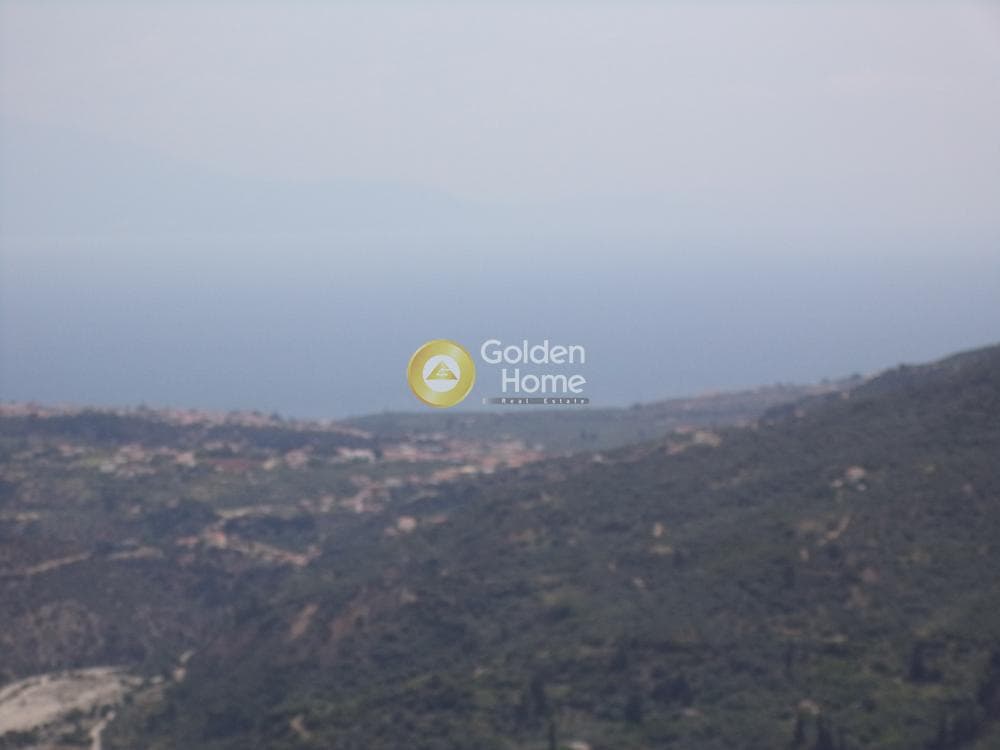 Μονοκατοικία στην Καλαμιάς, Ακράτα — Φωτογραφία 5 από 27