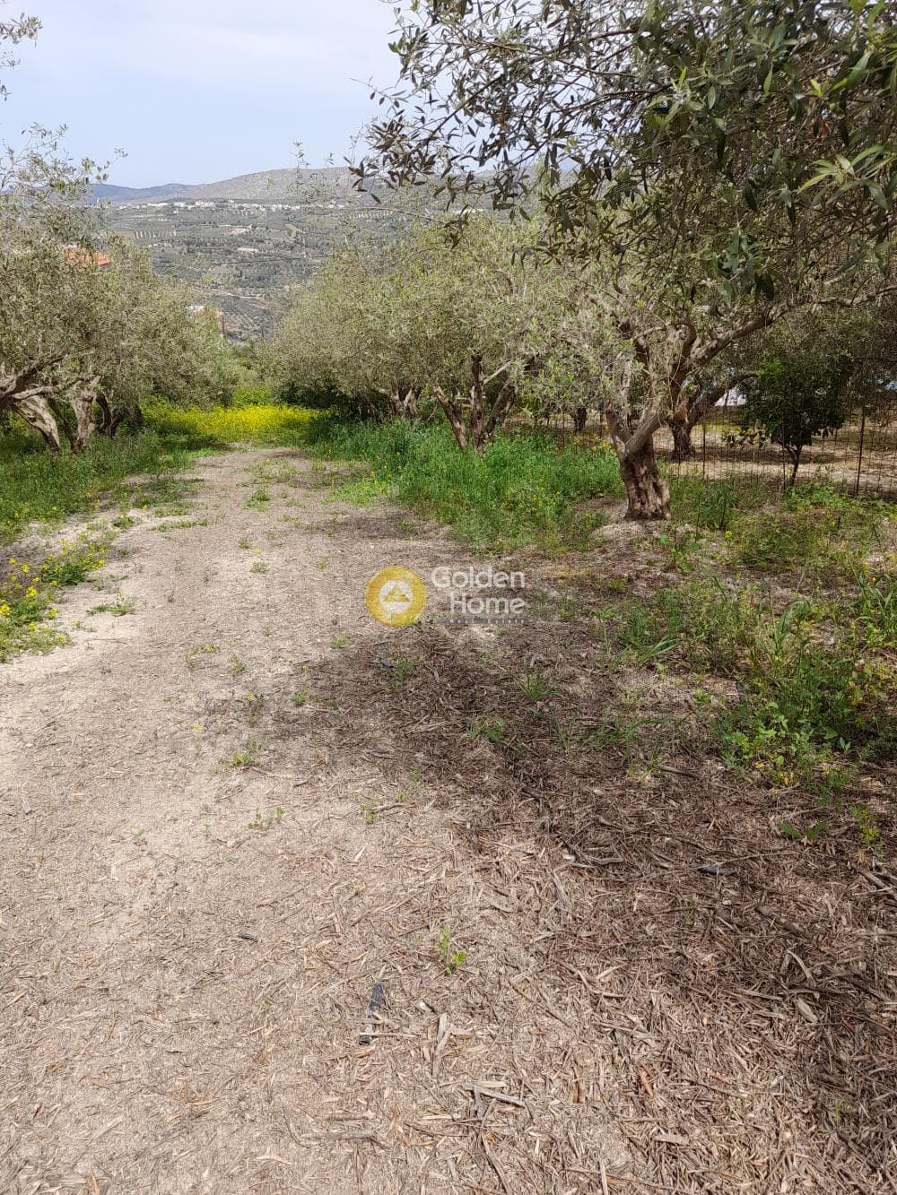 Building Plot in Mirtia, Episkopi — Photo 2 of 3