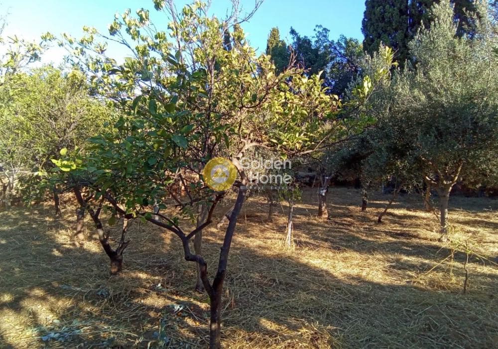 Μονοκατοικία στην Πόλη Χίου, Χίος — Φωτογραφία 9 από 11