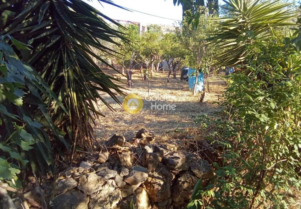 Μονοκατοικία στην Πόλη Χίου, Χίος — Φωτογραφία 11 από 11