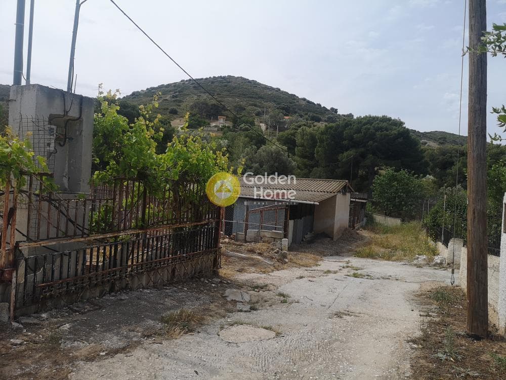 Αγροτεμάχιο στην Αρί, Ανάβυσσος — Φωτογραφία 7 από 10