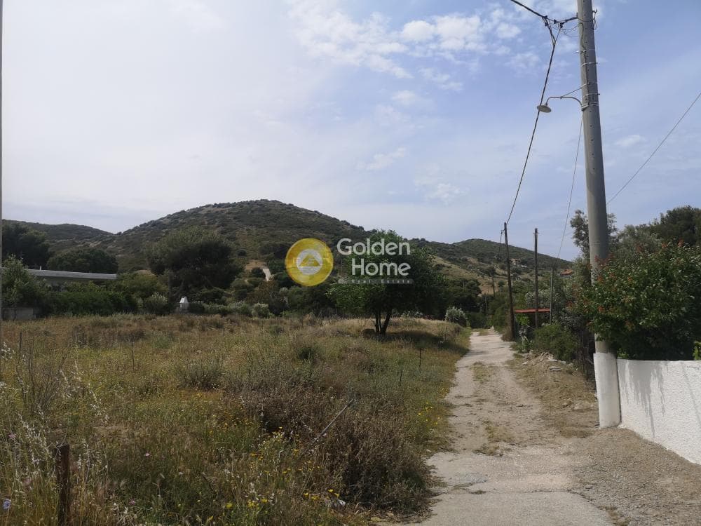 Αγροτεμάχιο στην Αρί, Ανάβυσσος — Φωτογραφία 4 από 10