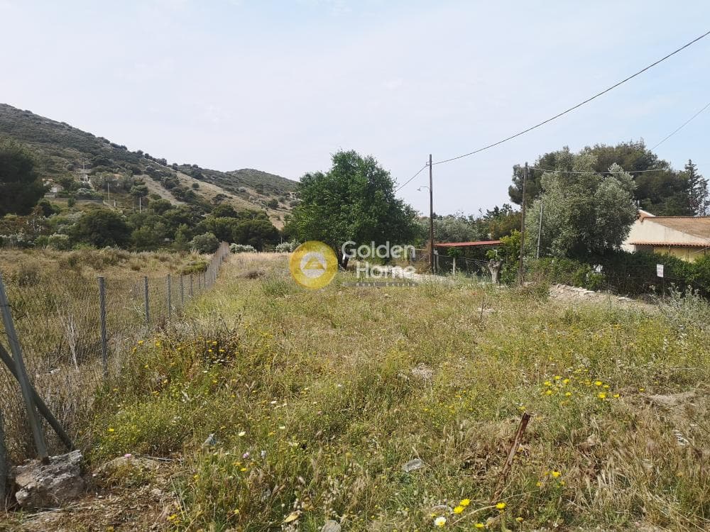 Αγροτεμάχιο στην Αρί, Ανάβυσσος — Φωτογραφία 2 από 10