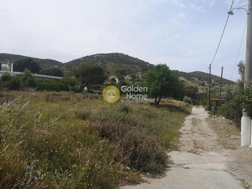 Αγροτεμάχιο στην Αρί, Ανάβυσσος — Φωτογραφία 1 από 10