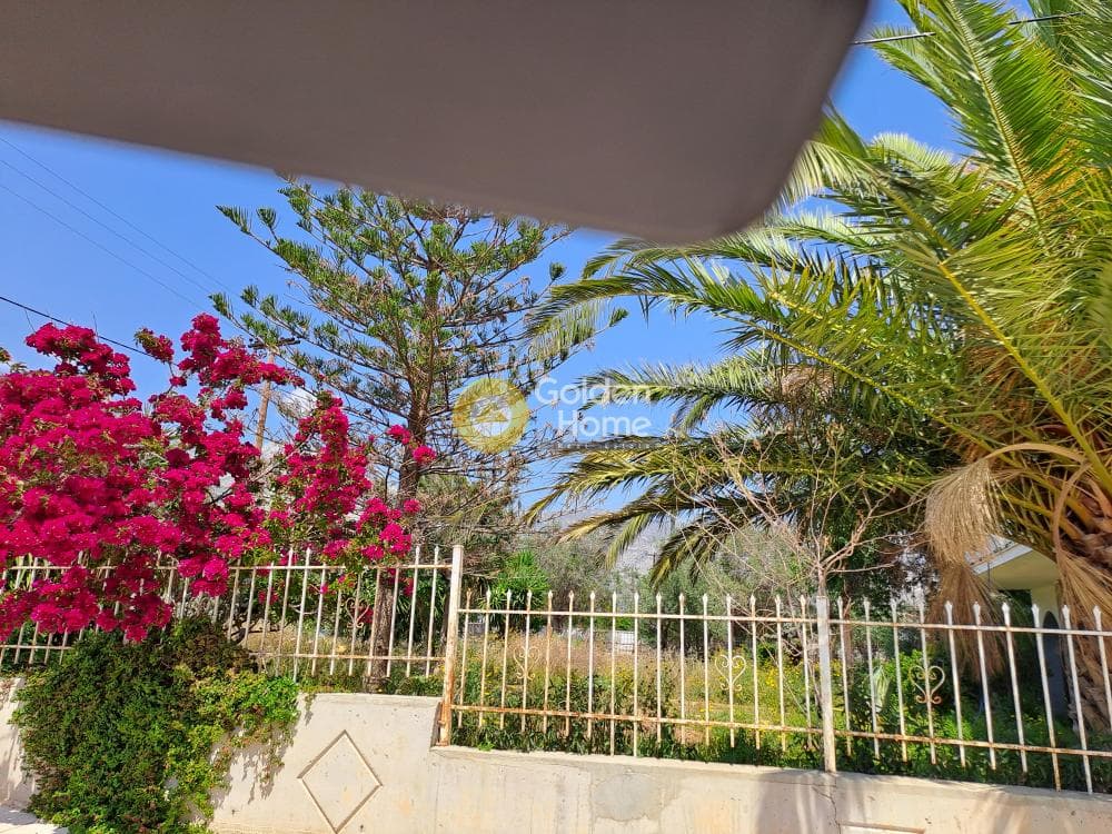 Μονοκατοικία στην Κινέτα, Άγιοι Θεόδωροι — Φωτογραφία 5 από 18