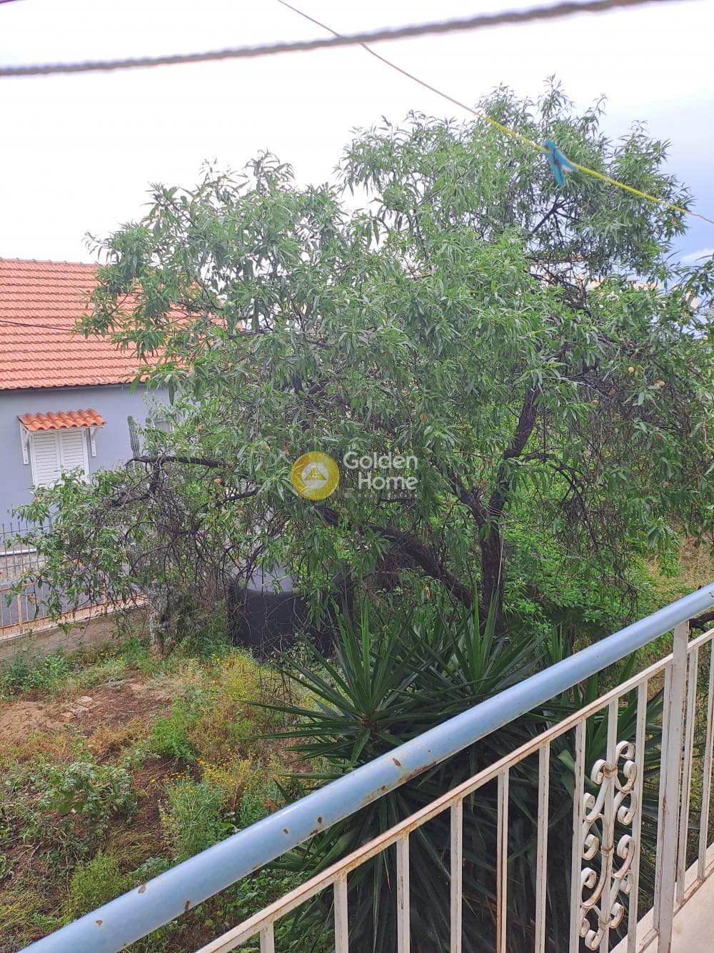 Μονοκατοικία στην Κινέτα, Άγιοι Θεόδωροι — Φωτογραφία 9 από 18