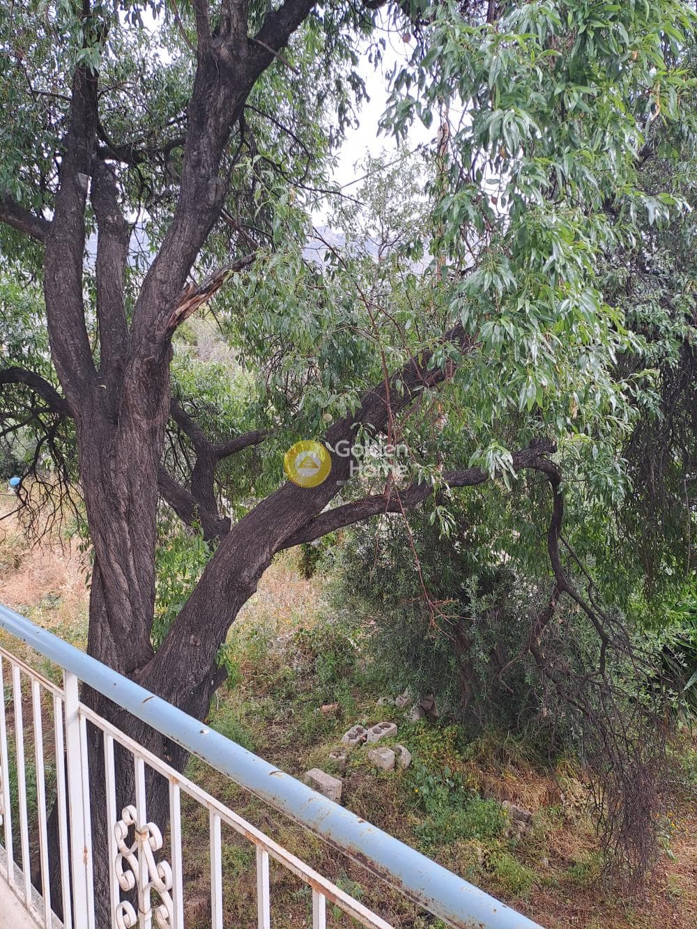Μονοκατοικία στην Κινέτα, Άγιοι Θεόδωροι — Φωτογραφία 10 από 18