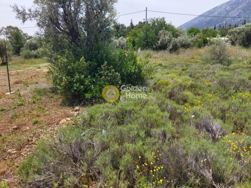 Οικόπεδο στην Αγία Τριάδα, Παιανία — Φωτογραφία 1 από 2