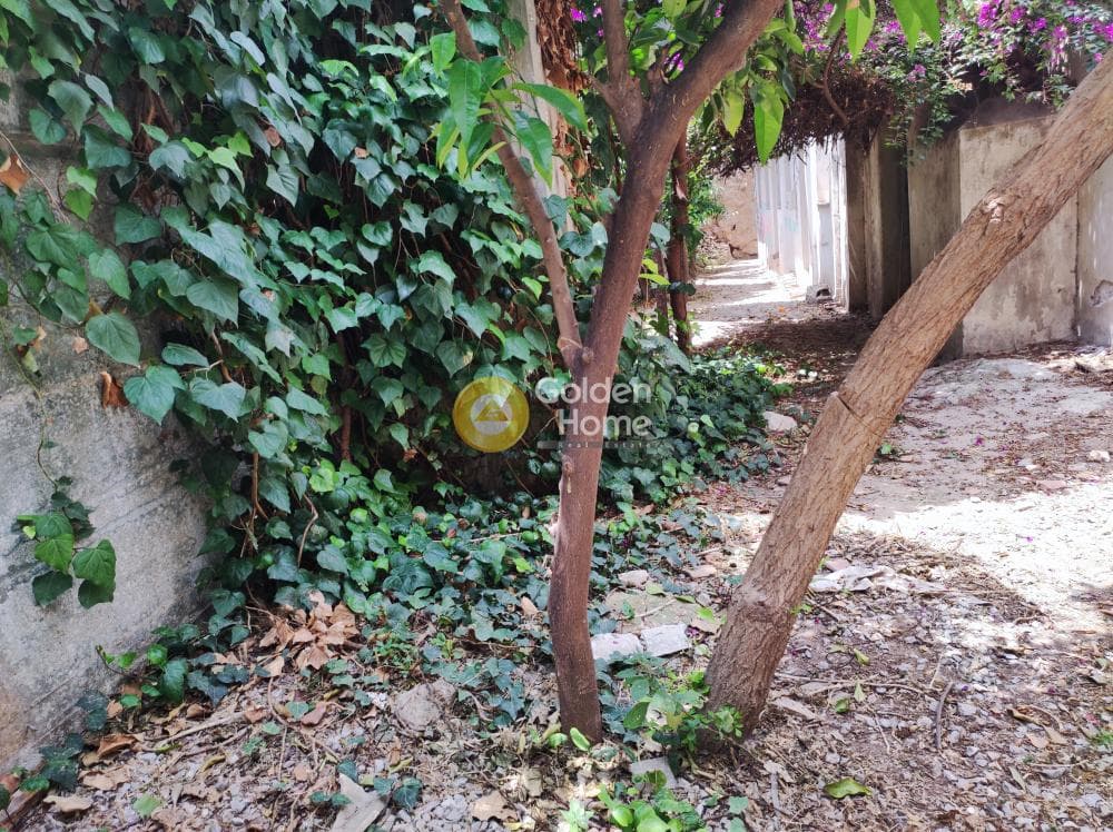Building Plot in Exarcheia, Exarchia - Neapoli — Photo 7 of 13