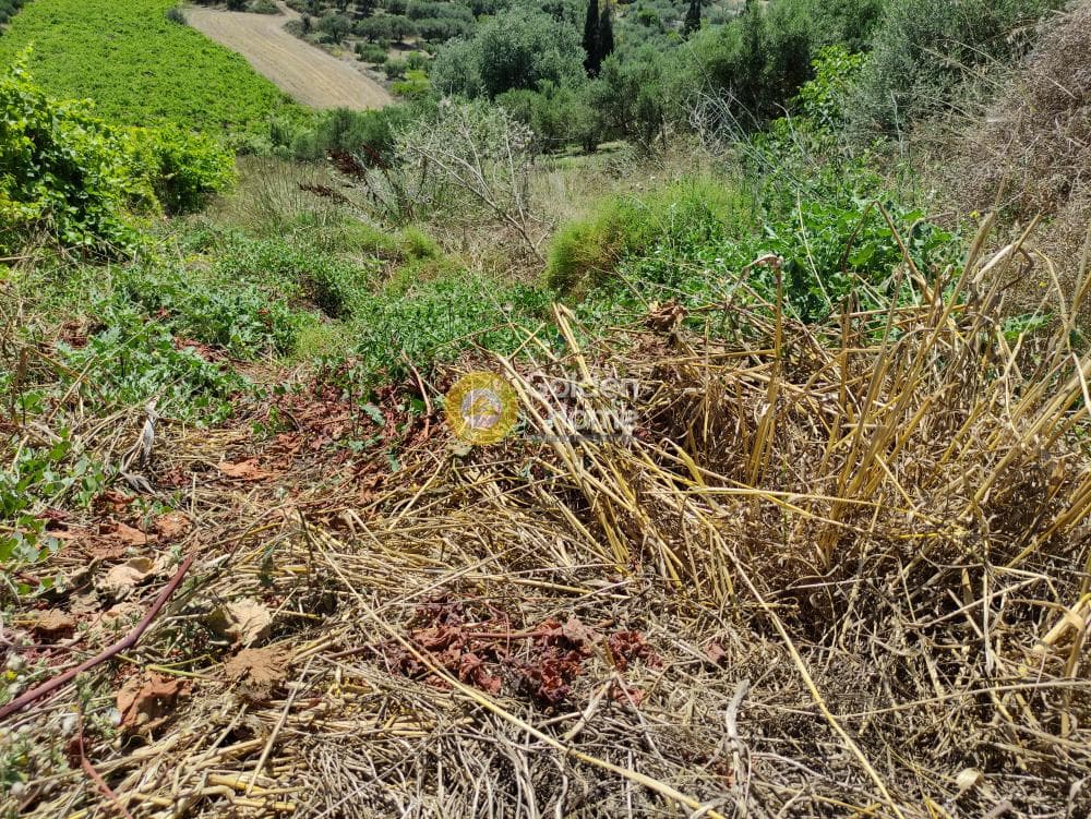 Οικόπεδο στην Πατσίδες, Αρχάνες