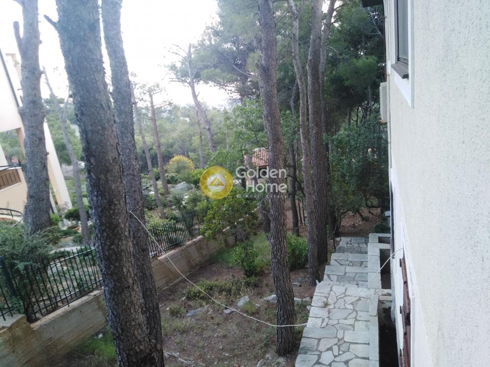 House in Megala Sxoinia A, Acharnes — Photo 21 of 40