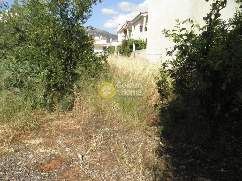 Οικόπεδο στην Άγιος Ανδρέας, Νέα Μάκρη — Φωτογραφία 9 από 14