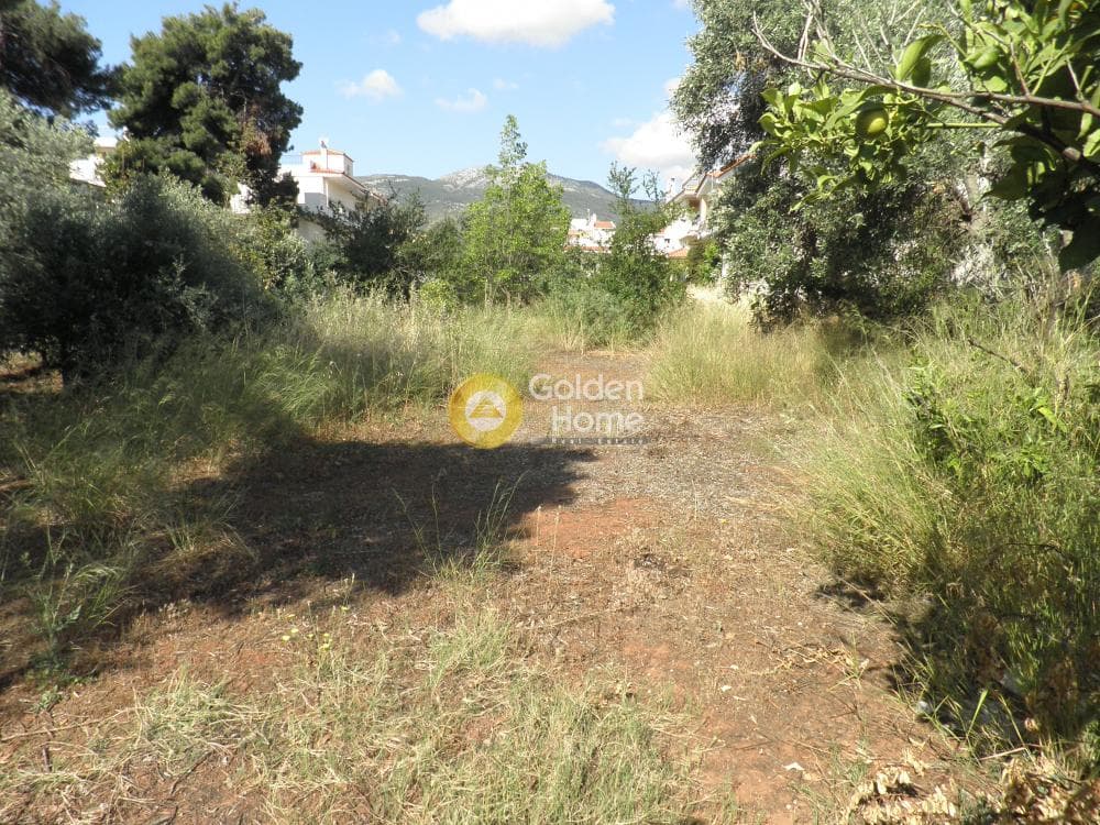 Οικόπεδο στην Άγιος Ανδρέας, Νέα Μάκρη — Φωτογραφία 11 από 14