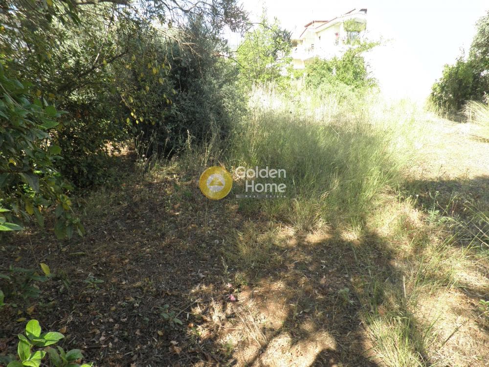 Οικόπεδο στην Άγιος Ανδρέας, Νέα Μάκρη — Φωτογραφία 7 από 14