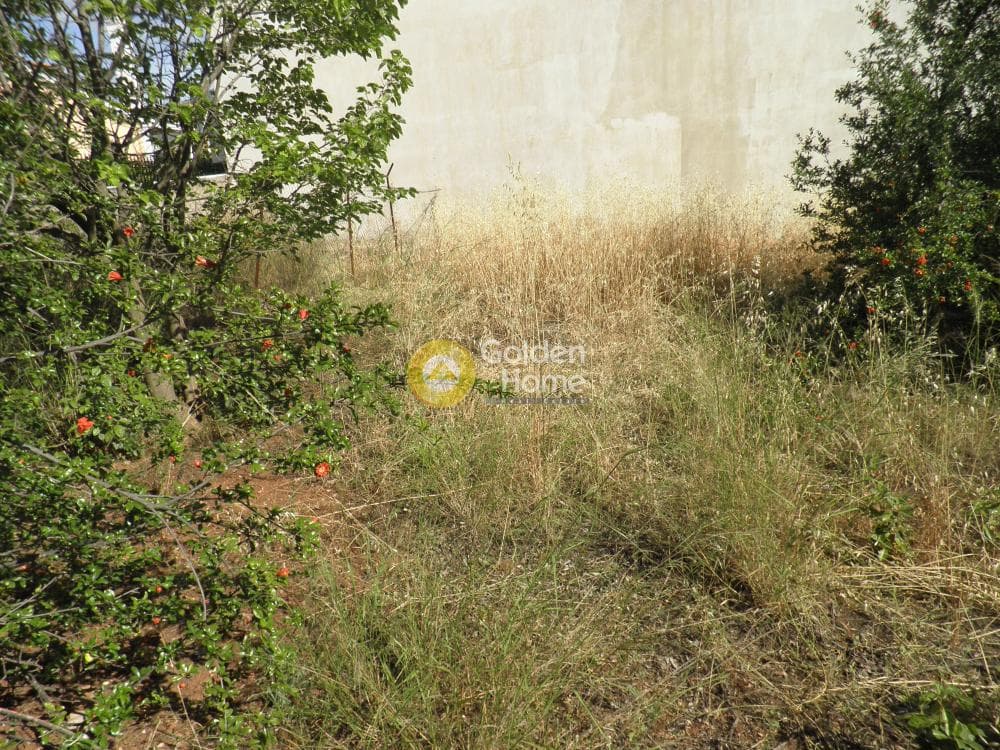 Οικόπεδο στην Άγιος Ανδρέας, Νέα Μάκρη — Φωτογραφία 13 από 14