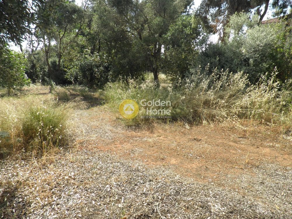 Οικόπεδο στην Άγιος Ανδρέας, Νέα Μάκρη — Φωτογραφία 1 από 14