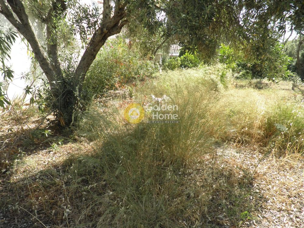 Οικόπεδο στην Άγιος Ανδρέας, Νέα Μάκρη — Φωτογραφία 5 από 14