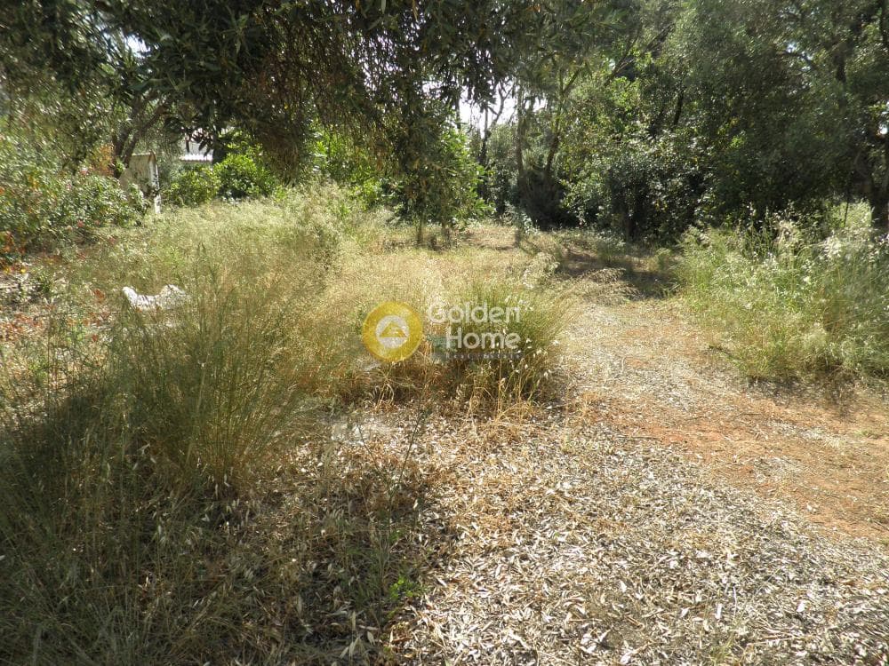 Οικόπεδο στην Άγιος Ανδρέας, Νέα Μάκρη — Φωτογραφία 6 από 14
