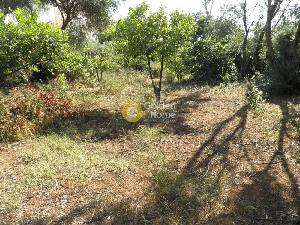 Οικόπεδο στην Άγιος Ανδρέας, Νέα Μάκρη — Φωτογραφία 2 από 14