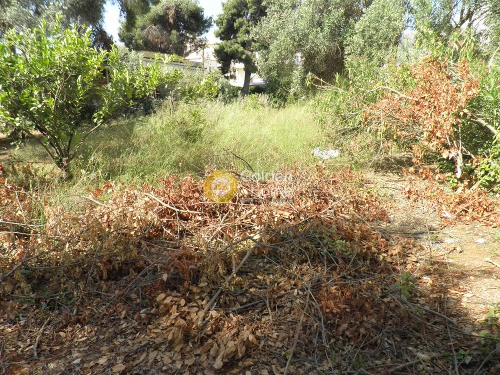 Οικόπεδο στην Άγιος Ανδρέας, Νέα Μάκρη — Φωτογραφία 3 από 14