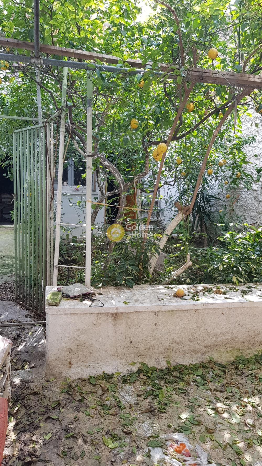 Apartment in Thimarakia, Attiki — Photo 1 of 11