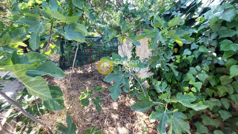 Οικόπεδο στην Νομισματοκοπειο, Χαλάνδρι — Φωτογραφία 12 από 14