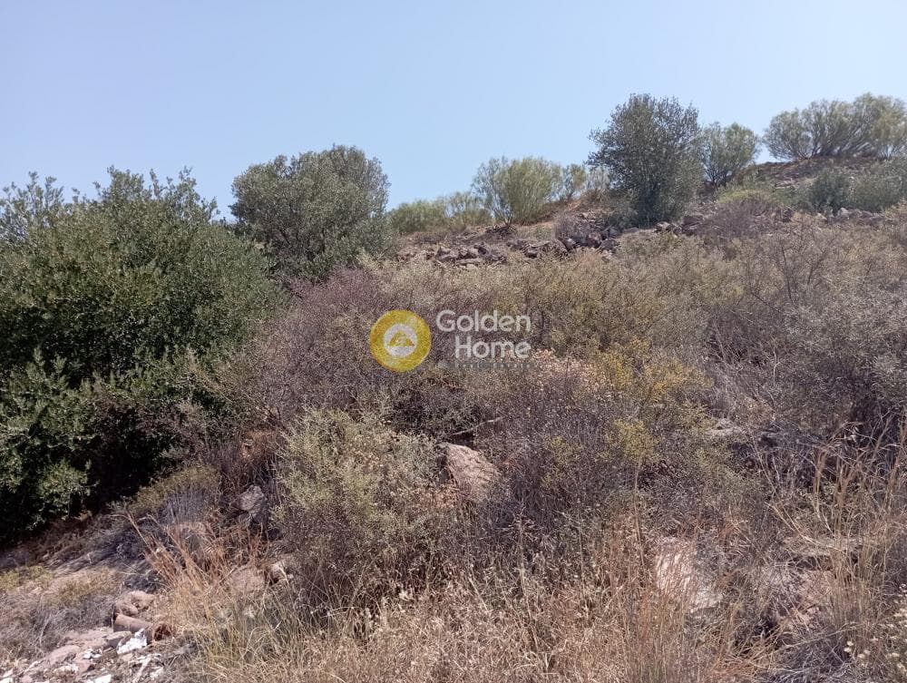 Building Plot in Kapotides, Aegina — Photo 3 of 11