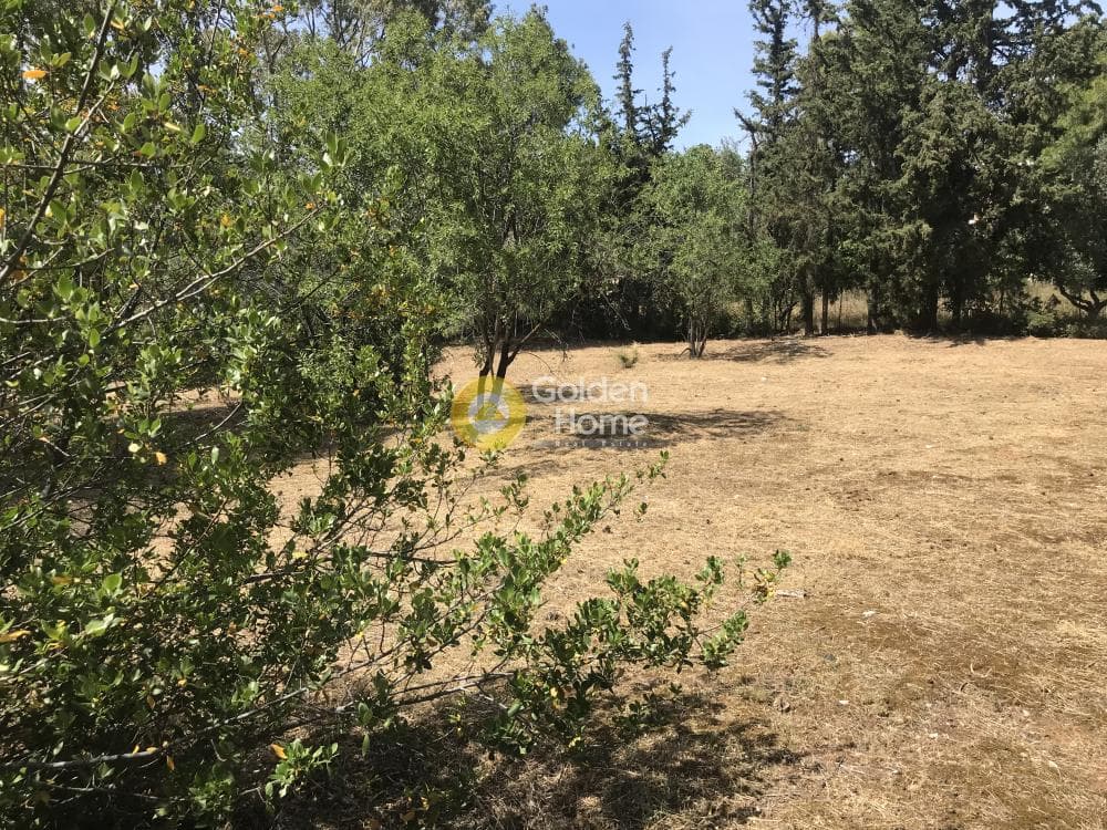 Οικόπεδο στην Αδάμες (Οικισμός Πελοποννησίων), Κηφισιά — Φωτογραφία 8 από 21