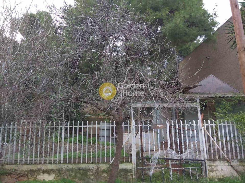 Building Plot in Selinia, Salamina — Photo 2 of 5