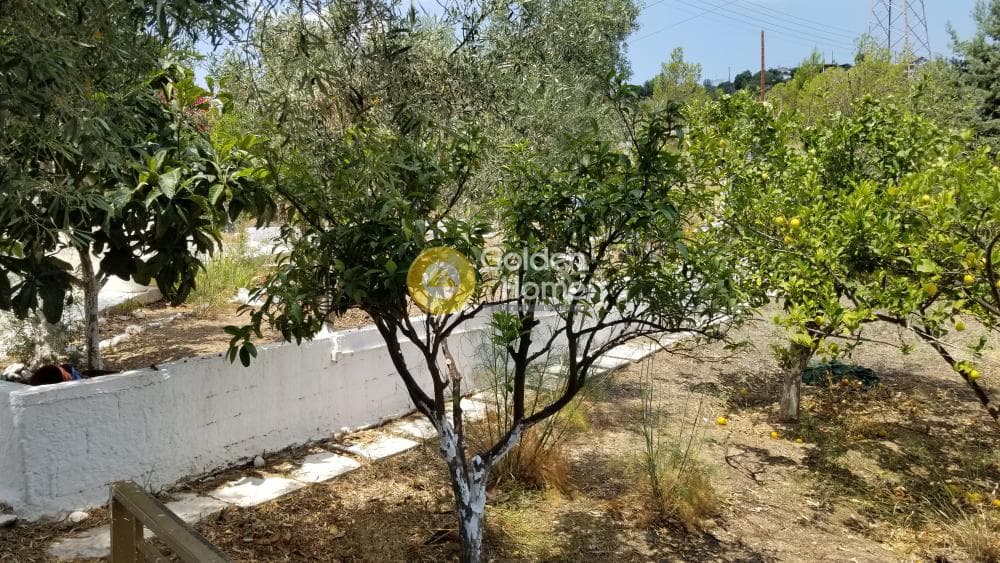 Μονοκατοικία στην Άγιοι Θεόδωροι, Άγιοι Θεόδωροι — Φωτογραφία 30 από 33