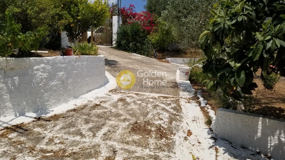 Μονοκατοικία στην Άγιοι Θεόδωροι, Άγιοι Θεόδωροι — Φωτογραφία 26 από 33