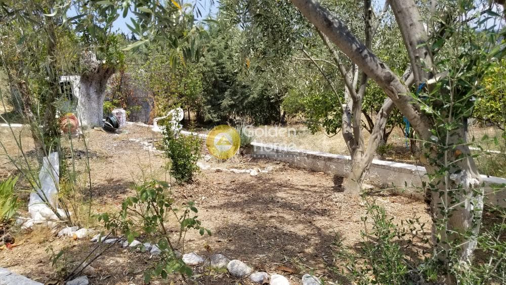 Μονοκατοικία στην Άγιοι Θεόδωροι, Άγιοι Θεόδωροι — Φωτογραφία 33 από 33