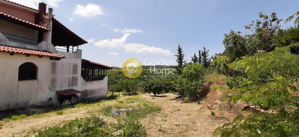 Μονοκατοικία στην Κέντρο, Κ. Καπανδριτίου — Φωτογραφία 24 από 33