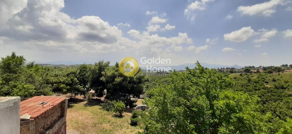 Μονοκατοικία στην Κέντρο, Κ. Καπανδριτίου — Φωτογραφία 28 από 33