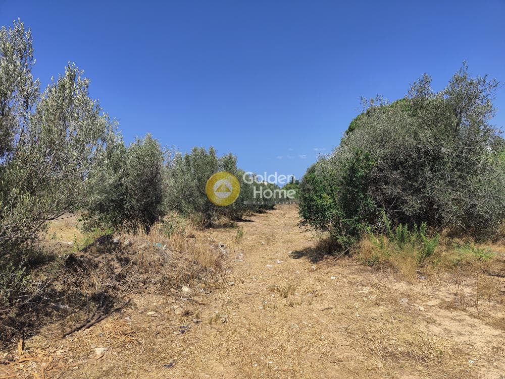 Οικόπεδο στην Λόφος Ξελαφτάκι, Καλύβια Θορικού — Φωτογραφία 1 από 6