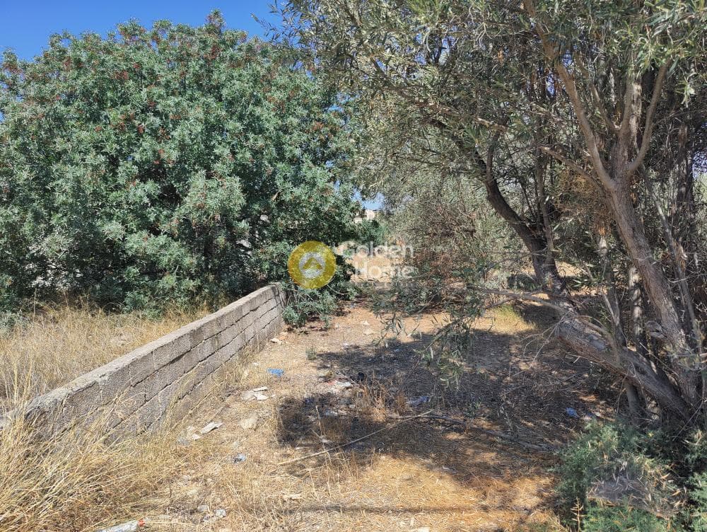 Οικόπεδο στην Λόφος Ξελαφτάκι, Καλύβια Θορικού — Φωτογραφία 6 από 6