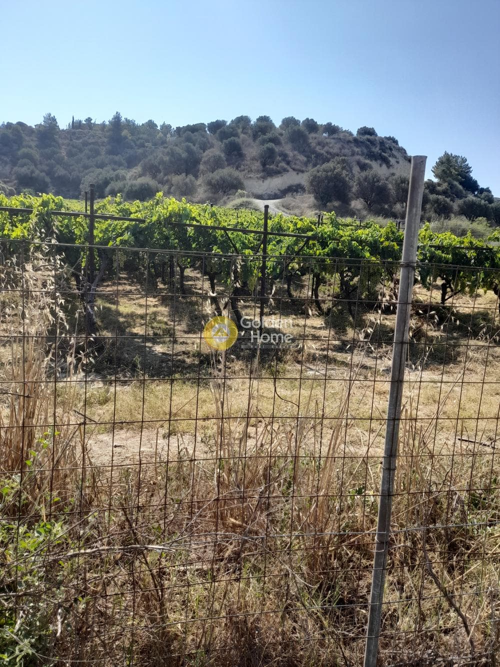 Οικόπεδο στην Μαλάδες, Τέμενος — Φωτογραφία 4 από 4