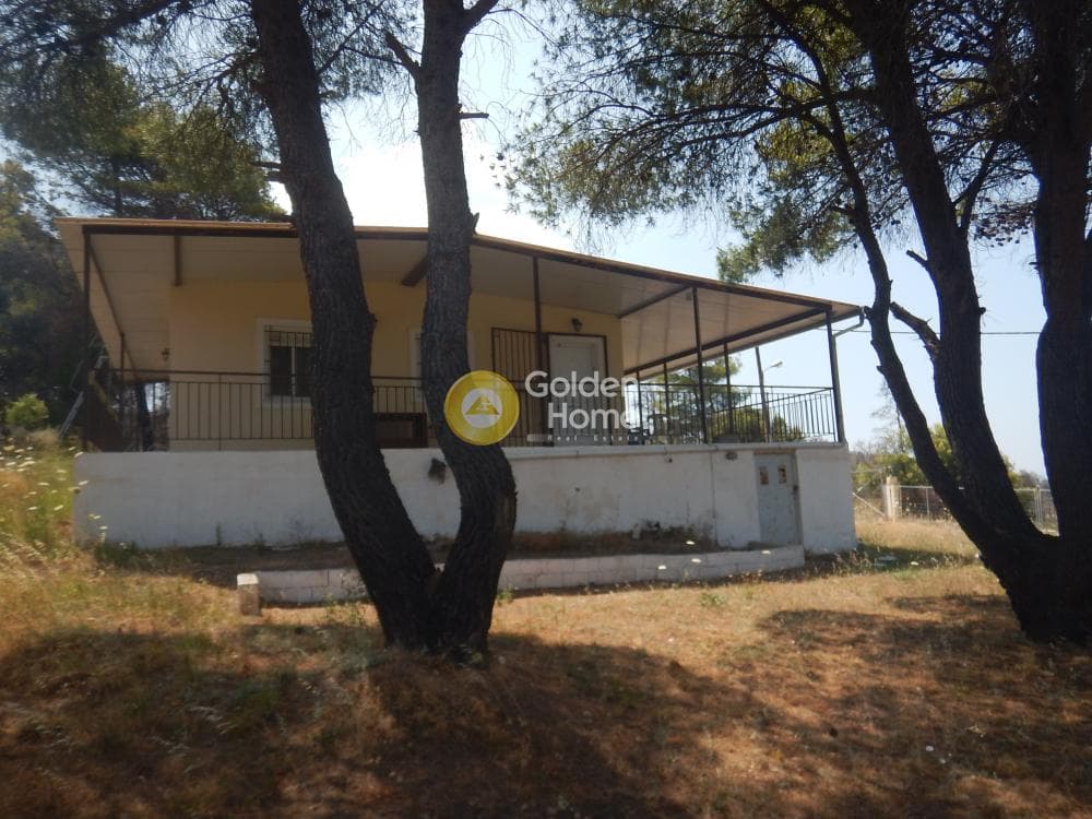 Μονοκατοικία στην Κινέτα, Άγιοι Θεόδωροι — Φωτογραφία 4 από 13