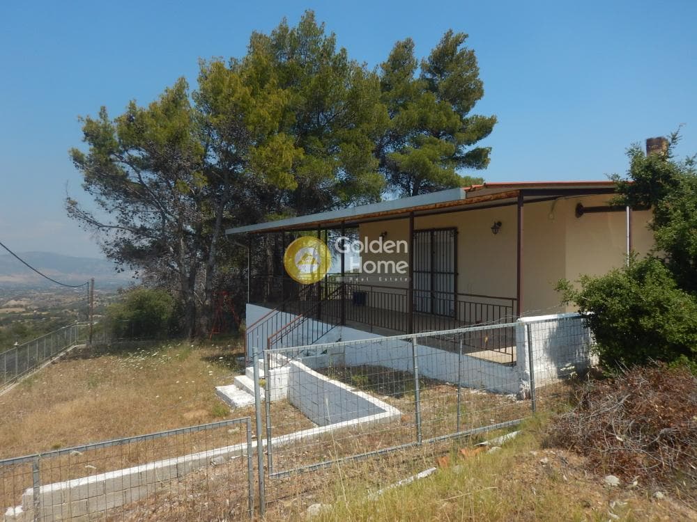 Μονοκατοικία στην Κινέτα, Άγιοι Θεόδωροι — Φωτογραφία 5 από 13