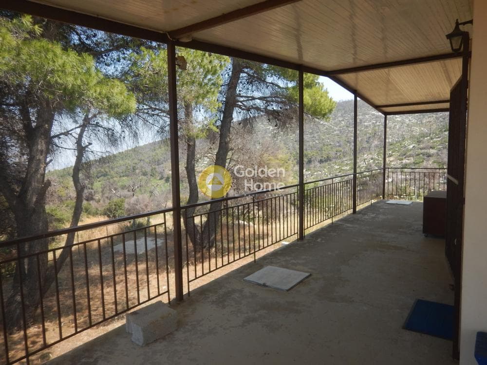 Μονοκατοικία στην Κινέτα, Άγιοι Θεόδωροι — Φωτογραφία 6 από 13
