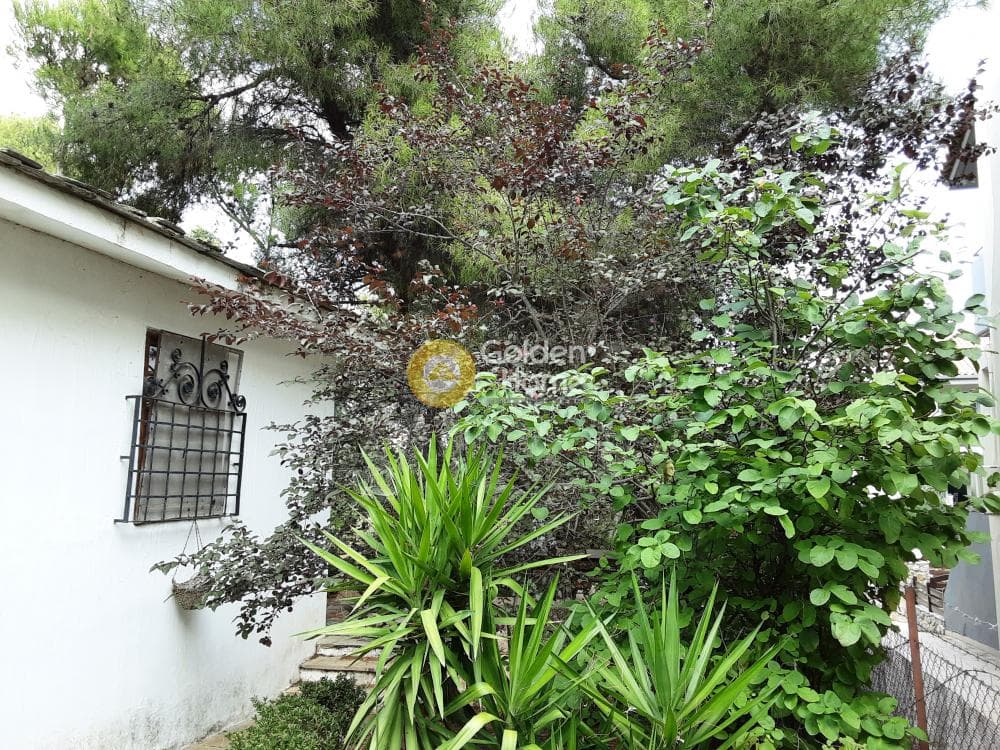 House in Megala Sxoinia A, Acharnes — Photo 28 of 35