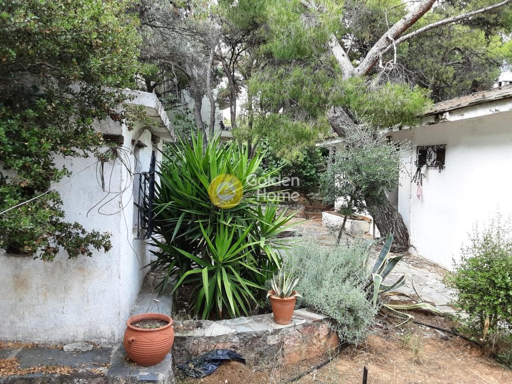 House in Megala Sxoinia A, Acharnes — Photo 30 of 35