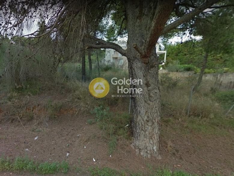 Building Plot in Kapitenia, Agios Stefanos — Photo 2 of 2