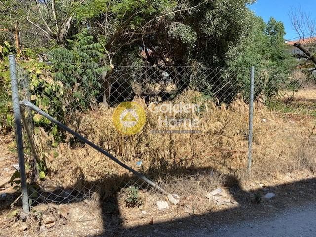 Οικόπεδο στην Λεωφ. Βάρης Κορωπίου, Κορωπί — Φωτογραφία 11 από 16