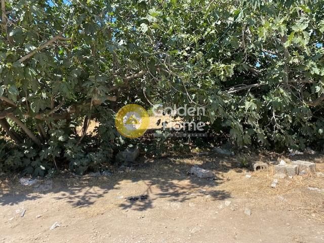 Οικόπεδο στην Λεωφ. Βάρης Κορωπίου, Κορωπί — Φωτογραφία 12 από 16