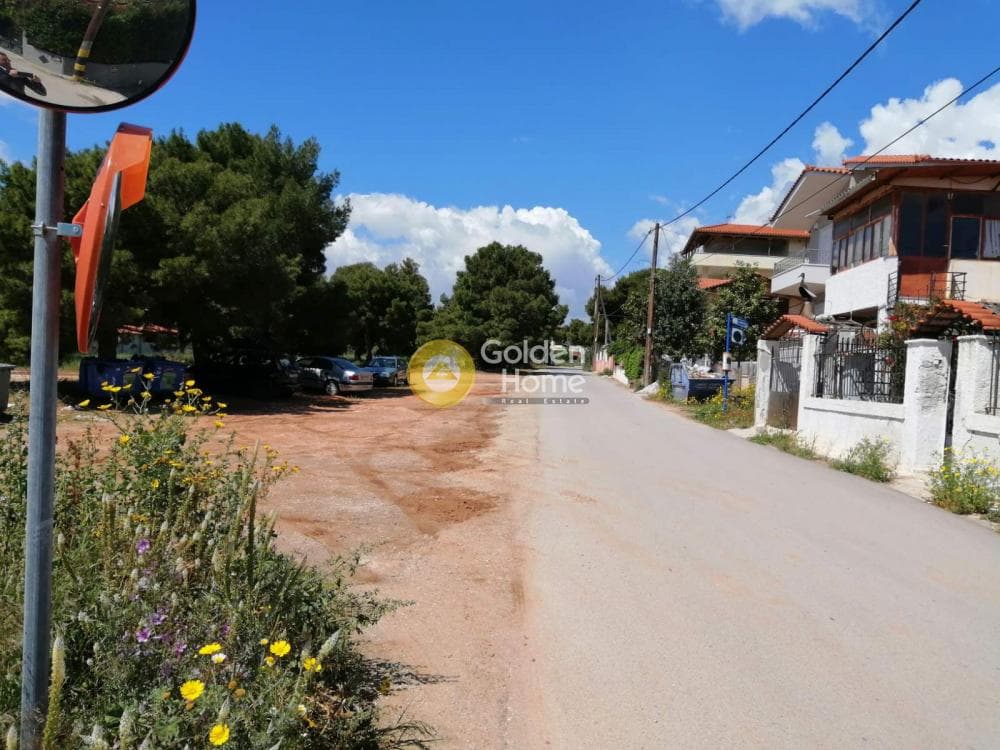 Αγροτεμάχιο στην Άγιος Σεραφείμ, Αρτέμιδα (Λούτσα) — Φωτογραφία 3 από 4